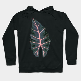 PixDezines Watercolor Dark Blue Pink Spine Caladium Hoodie